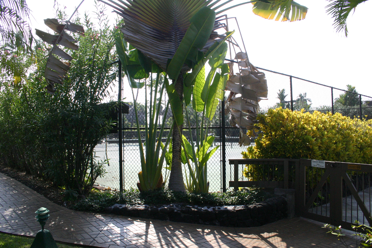 lighted tennis courts