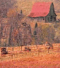 farm